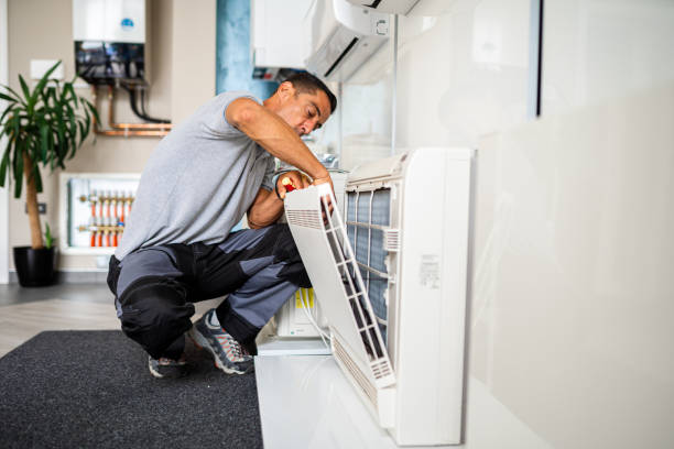 Best Affordable Duct Cleaning Services  in Rossvle, IL